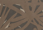 Pandanus 6241
