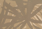 Pandanus 6242
