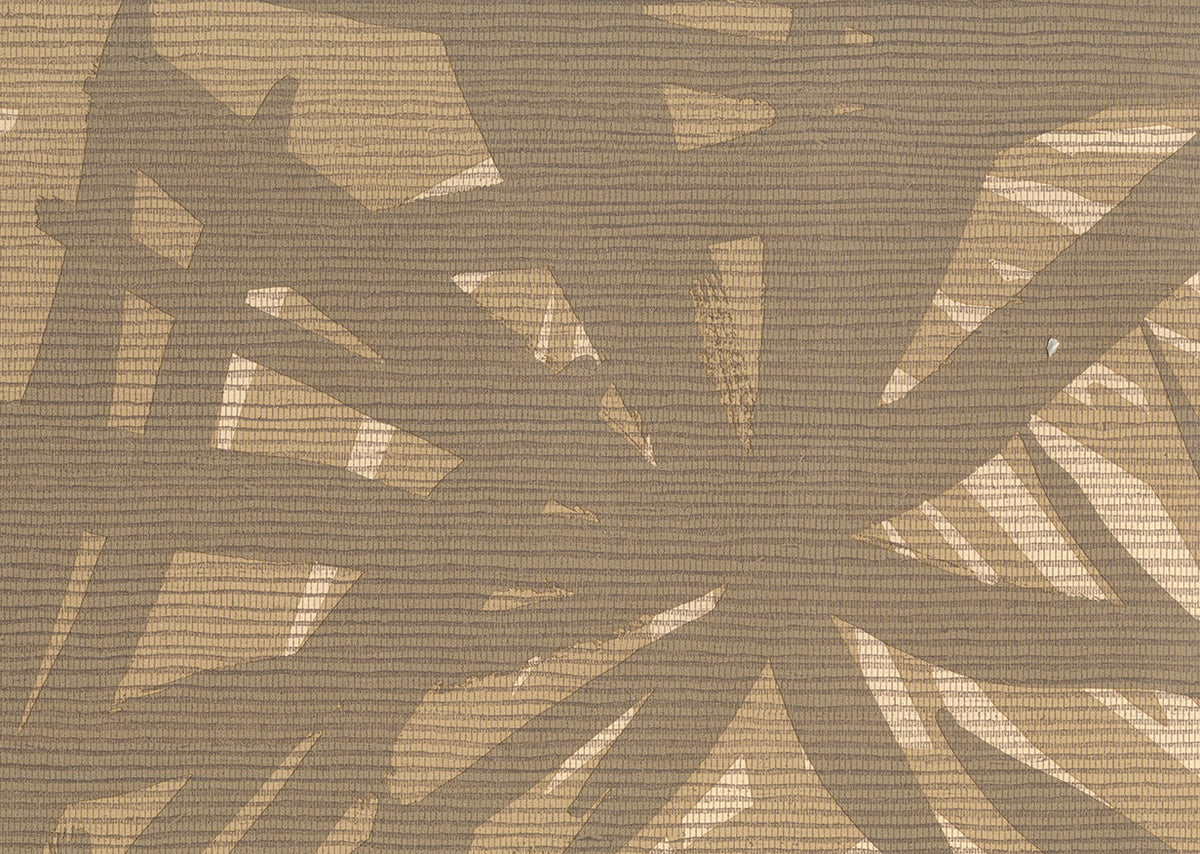 Pandanus 6242