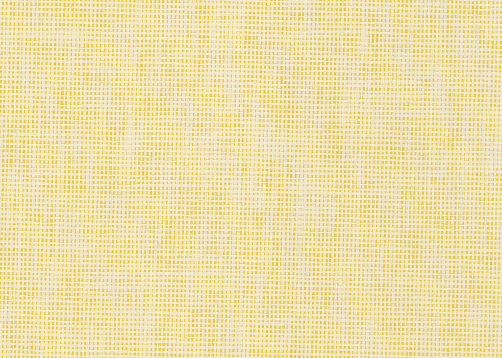 Paper Weave 3147