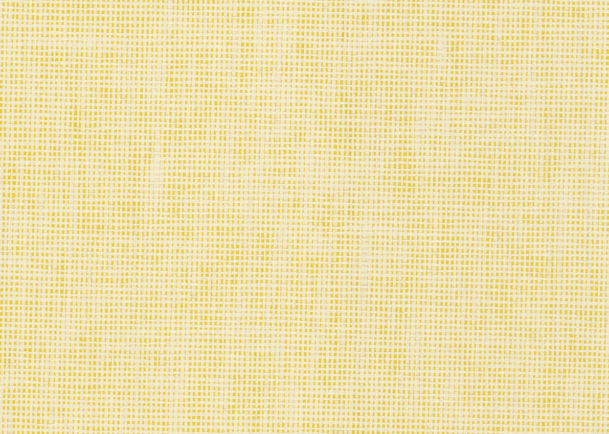 Paper Weave 3147