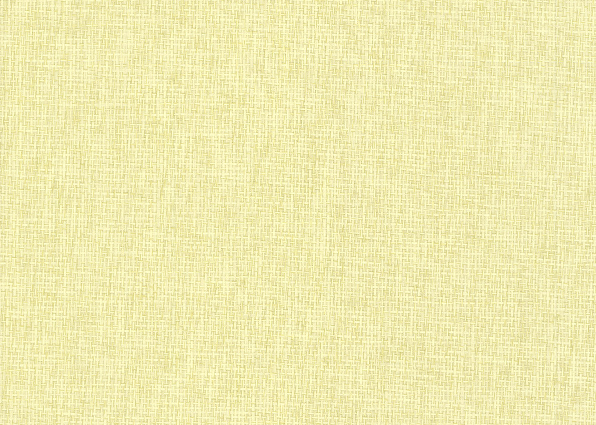 Paper Weave 3153