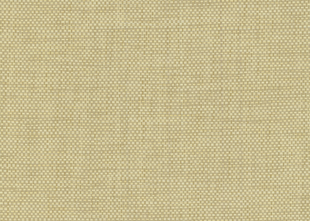 Paper Weave 3157