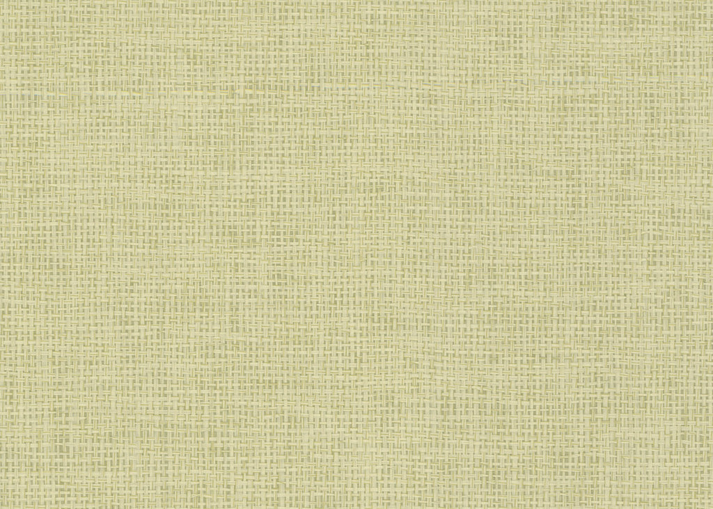 Paper Weave 3165