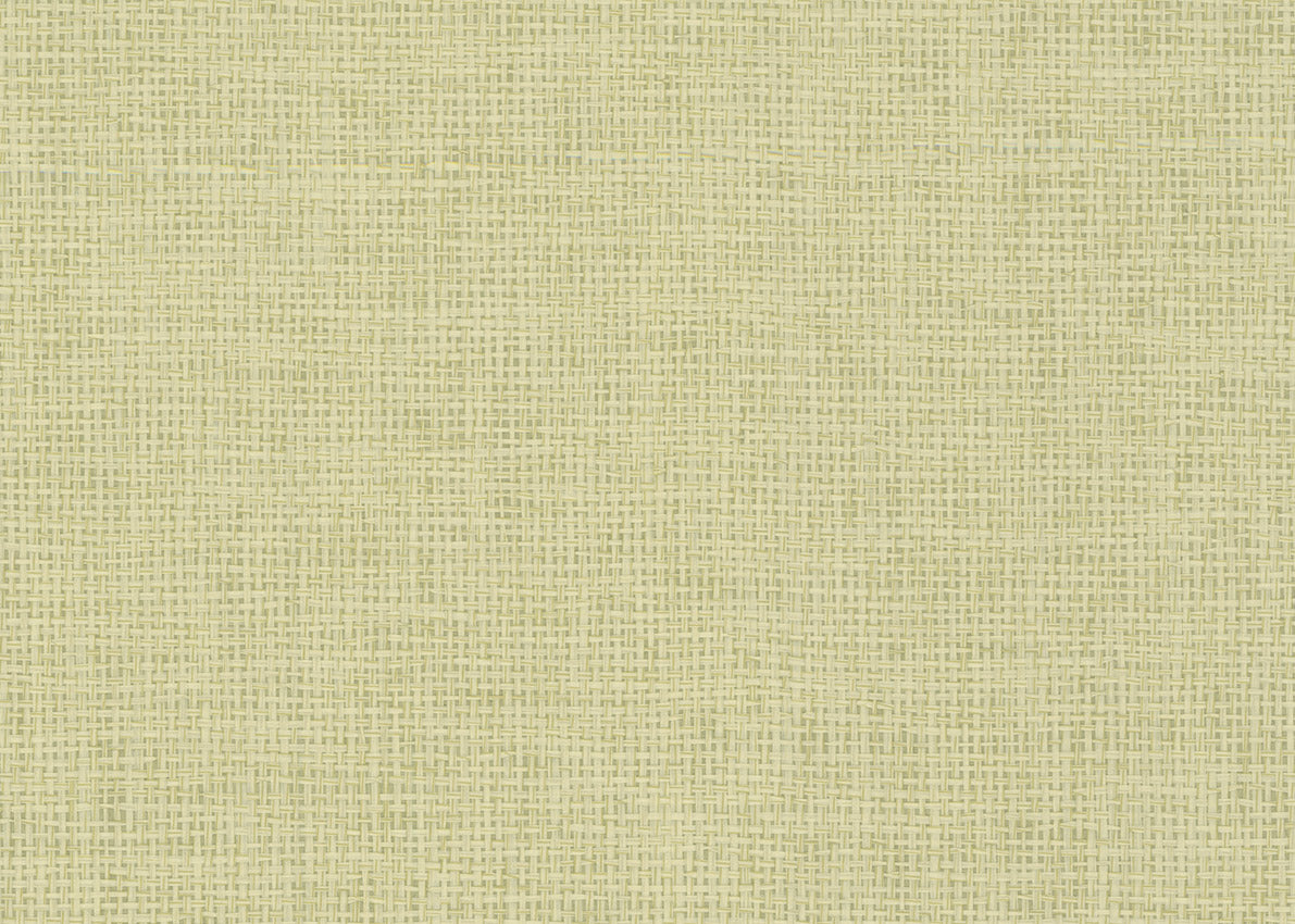 Paper Weave 3165