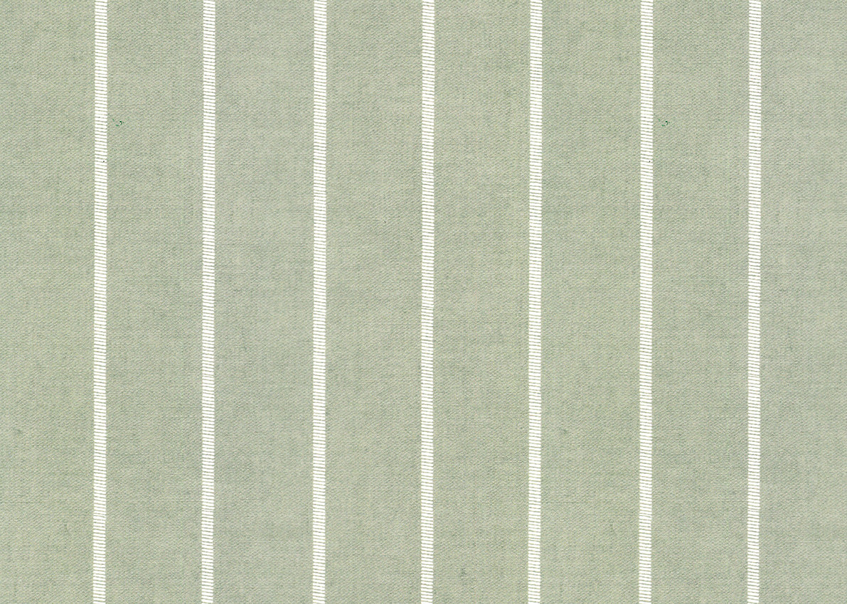 Pinstripe 7717