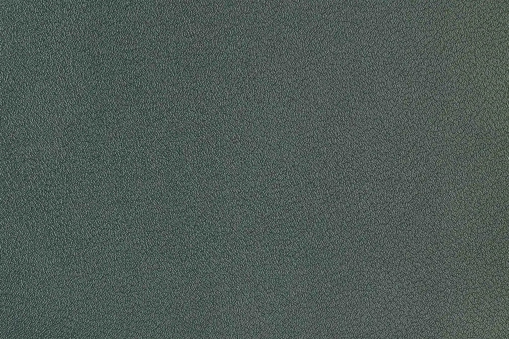 RE_SOURCE I V1446