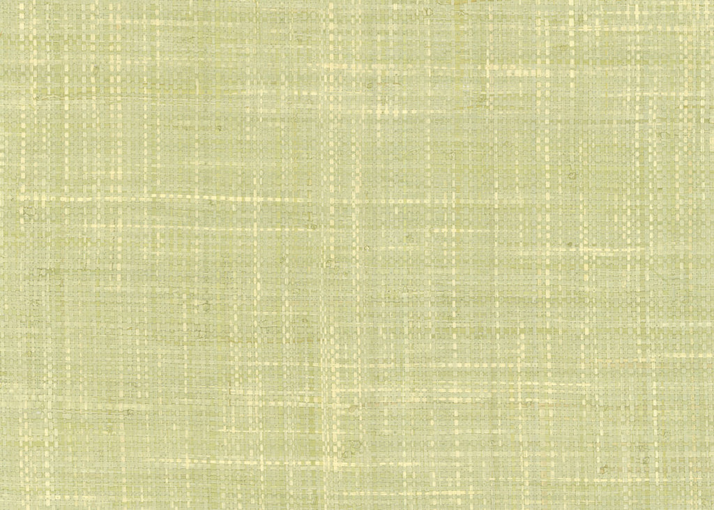 Raffia 3191