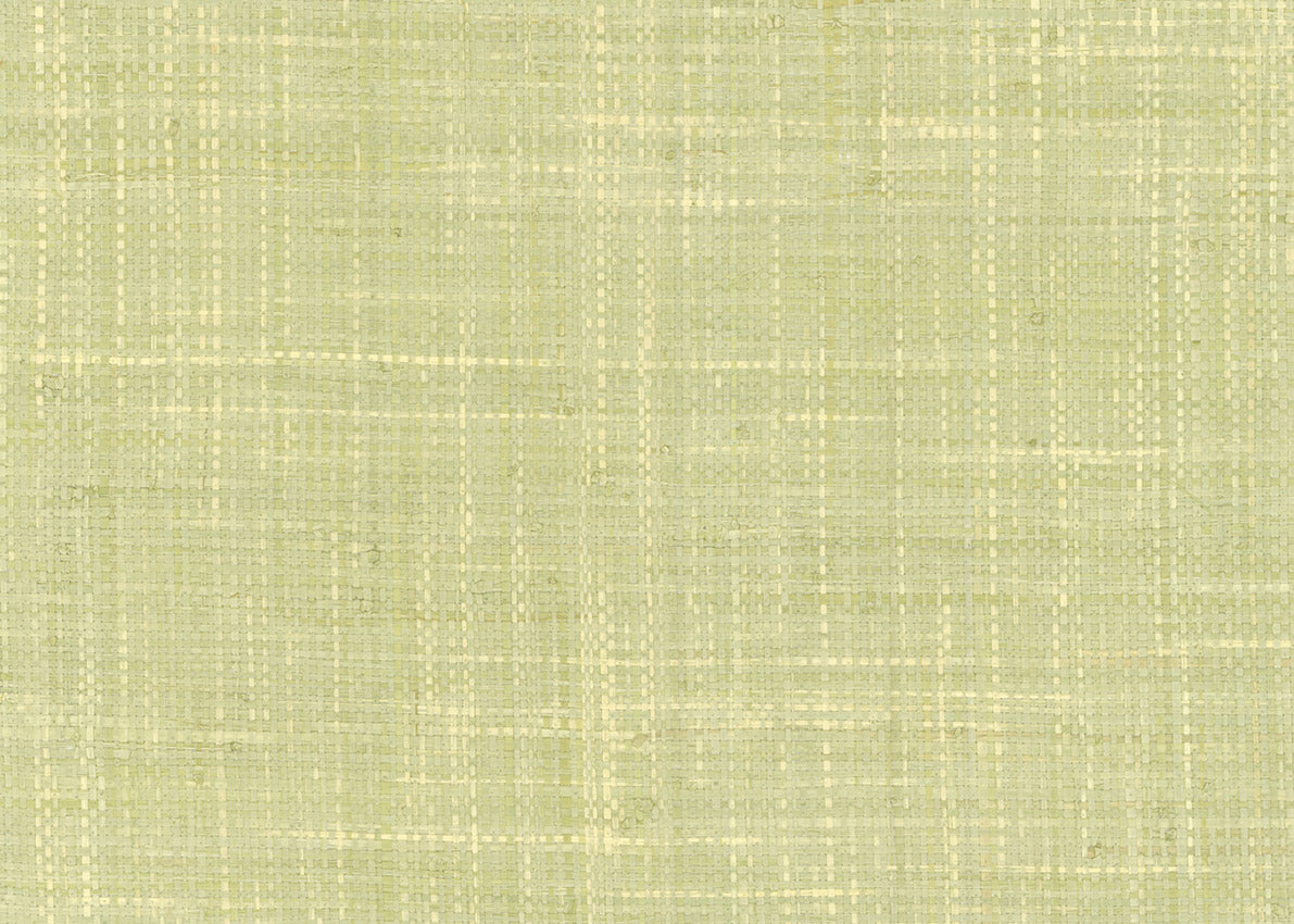 Raffia 3191