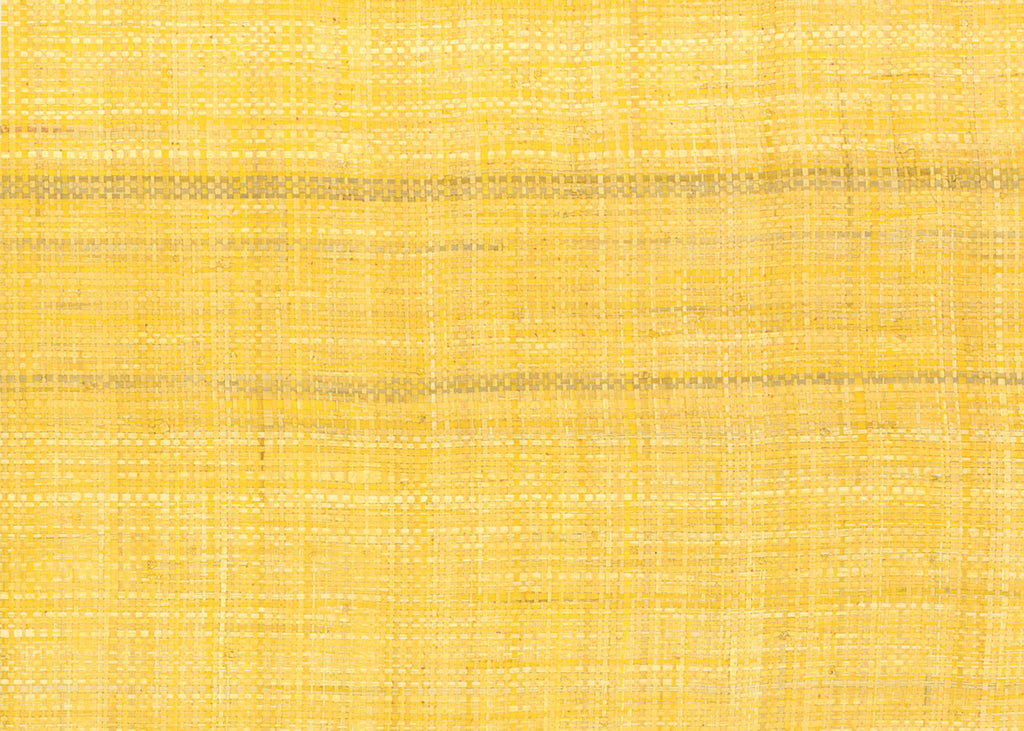Raffia 3192