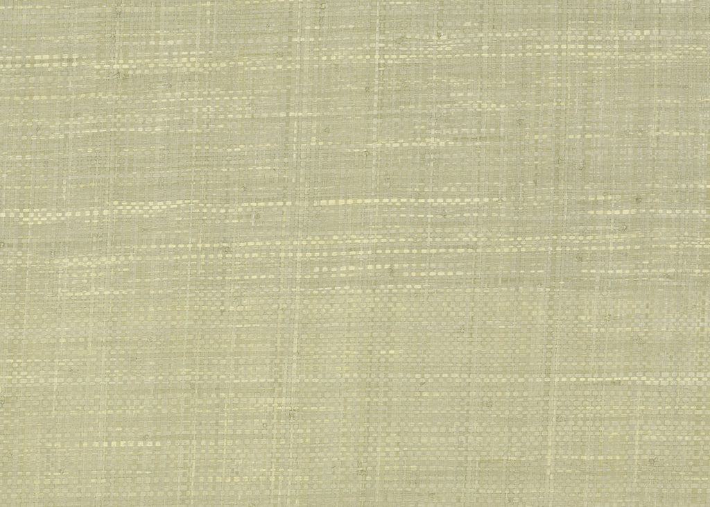Raffia 3194