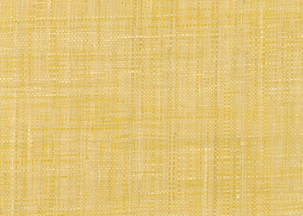 Raffia 3195