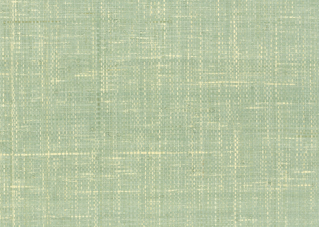 Raffia 3196