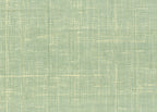 Raffia 3196