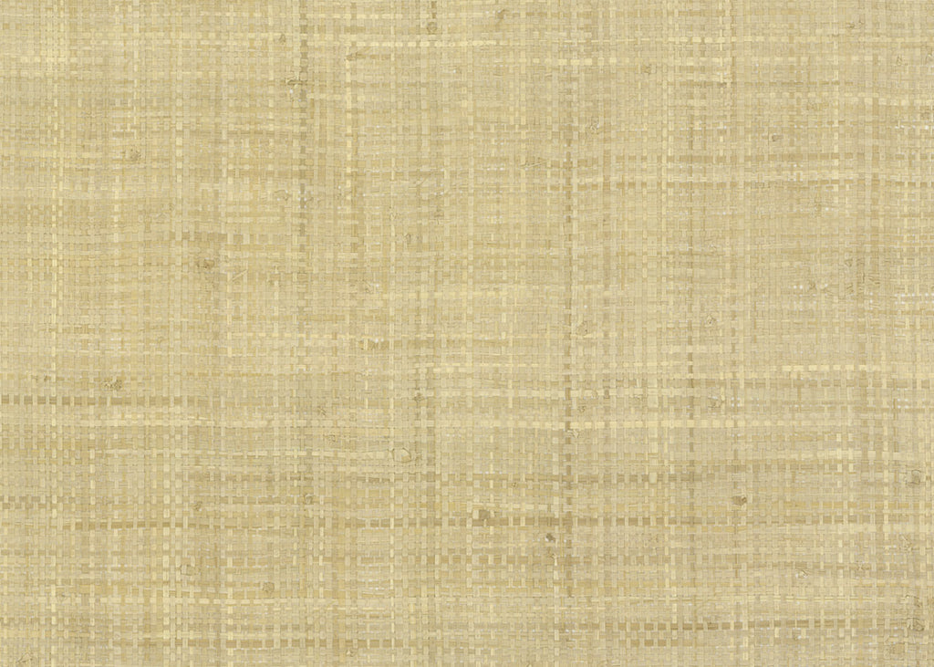 Raffia 3197