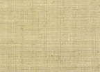 Raffia 3197