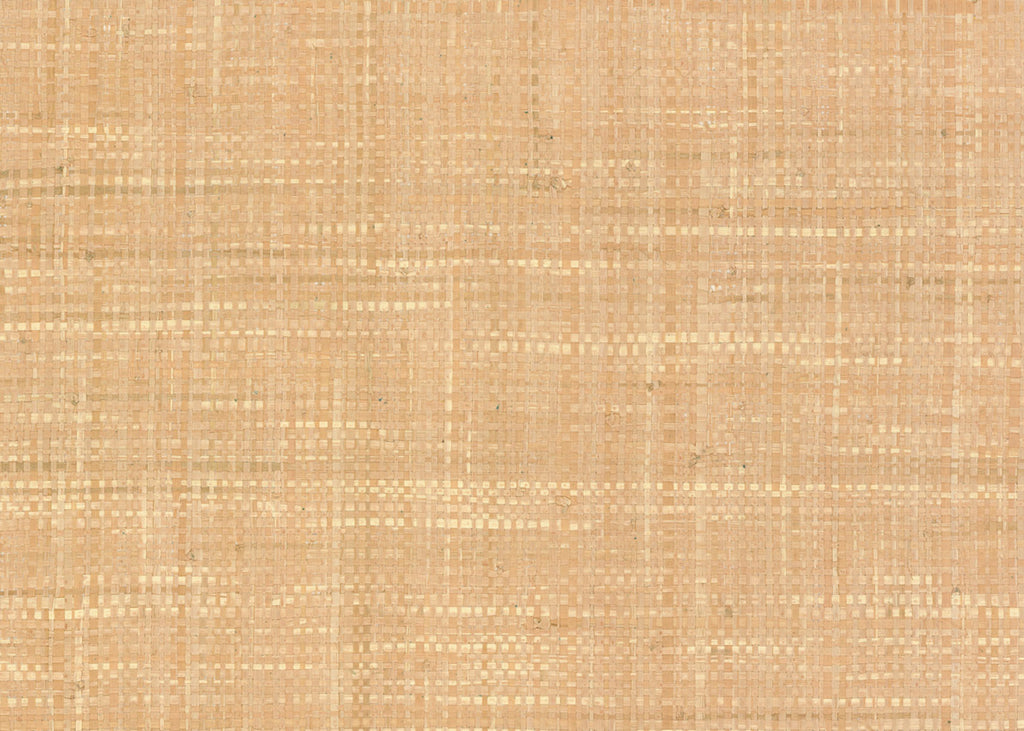 Raffia 3198