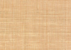 Raffia 3198