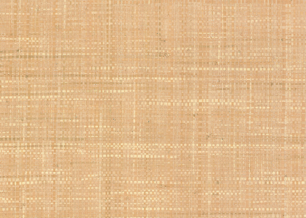 Raffia 3198