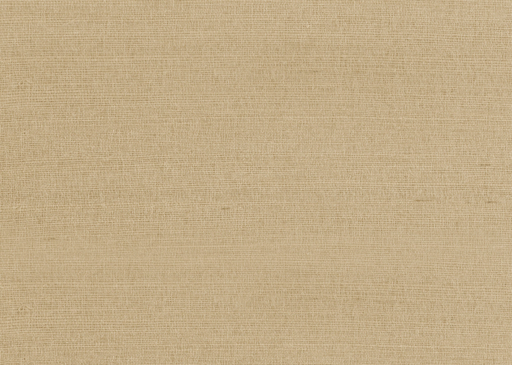 Raffia Plain GA9 9364