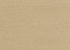 Raffia Plain GA9 9364