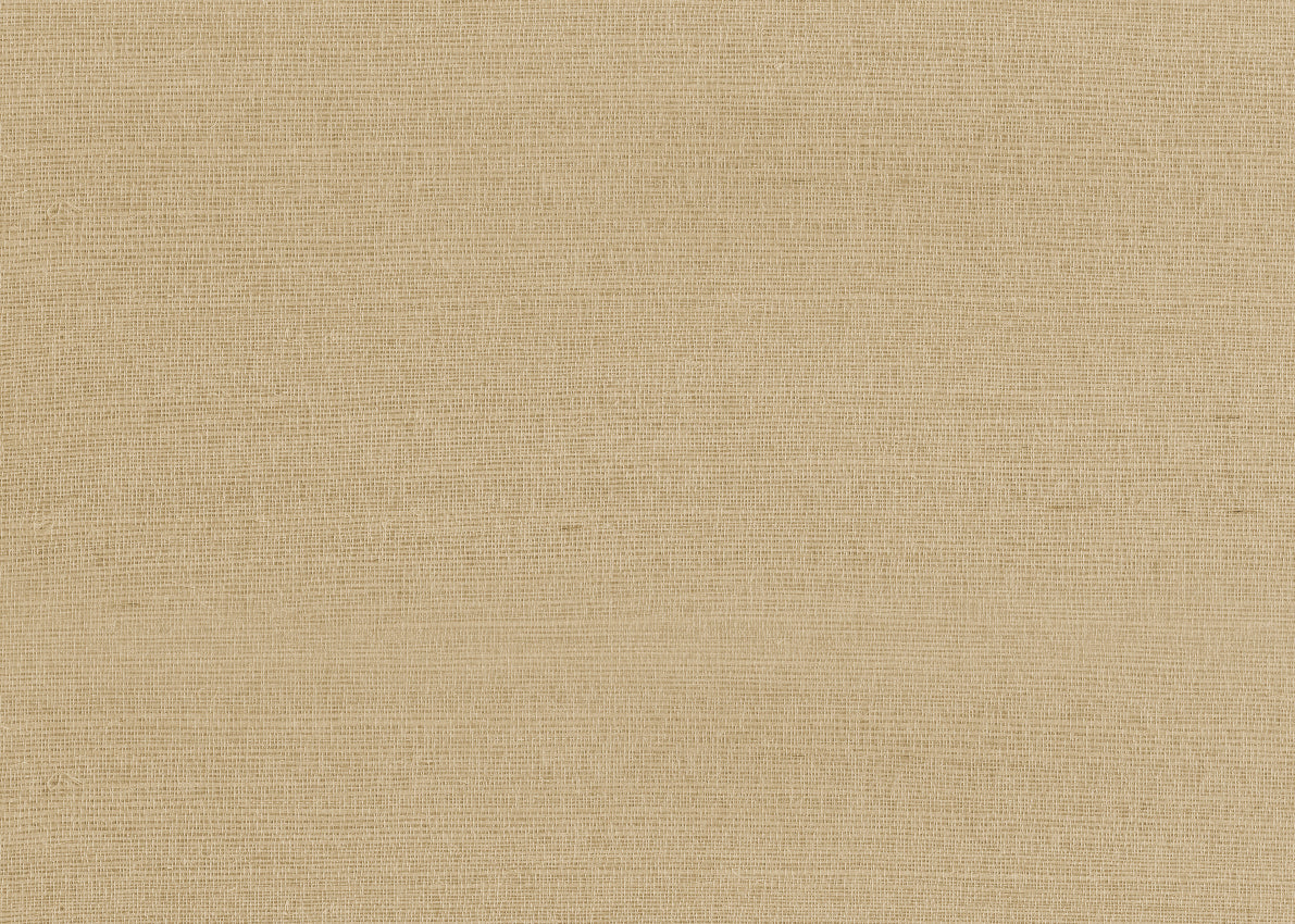 Raffia Plain GA9 9364