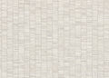 Ribbon Grass 1010