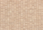 Ribbon Grass 1012