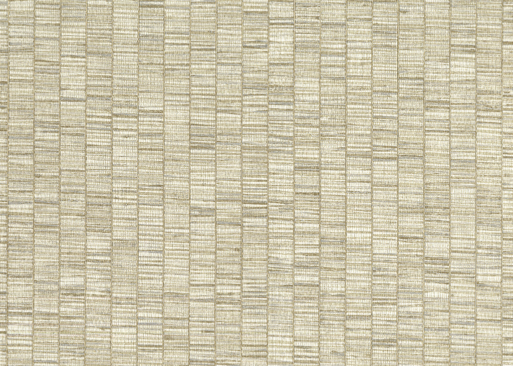Ribbon Grass 6571