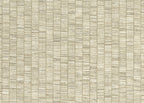 Ribbon Grass 6571