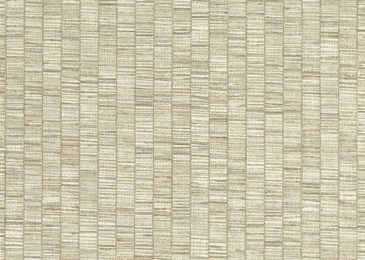 Ribbon Grass 6571