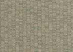 Ribbon Grass 6573