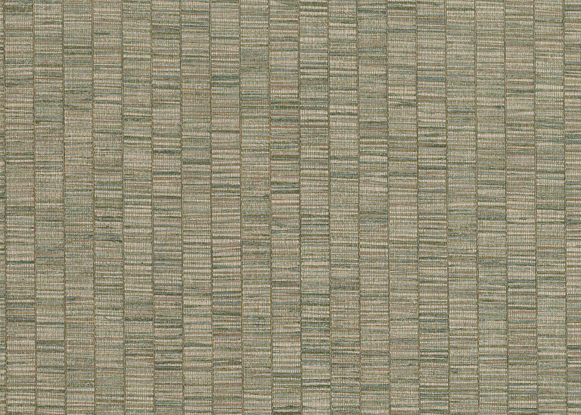 Ribbon Grass 6573