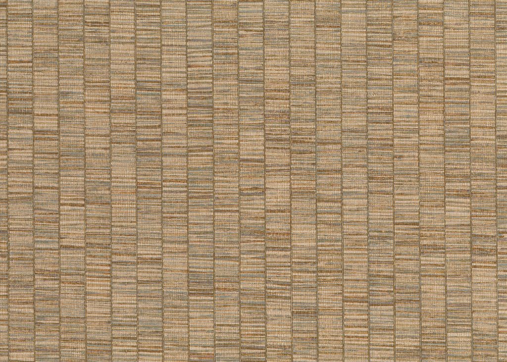 Ribbon Grass 6574