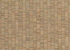 Ribbon Grass 6574