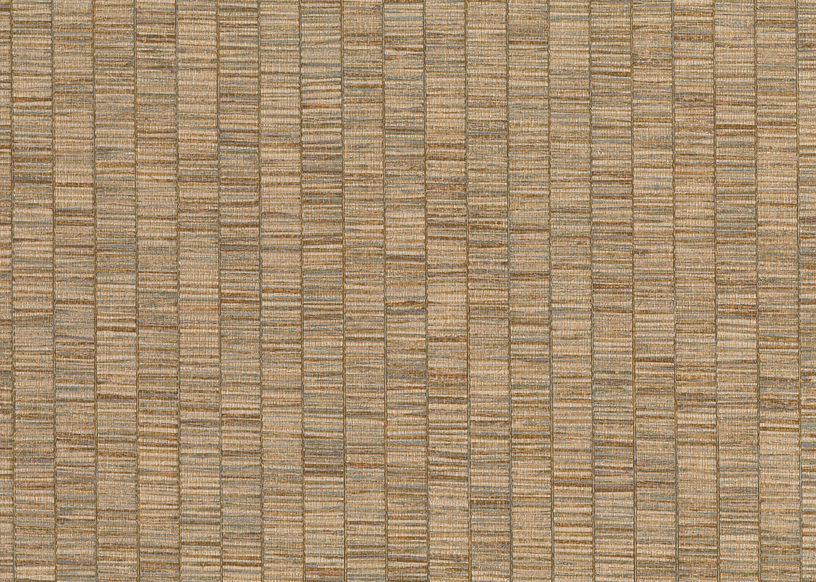 Ribbon Grass 6574