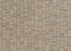 Ribbon Grass 6575