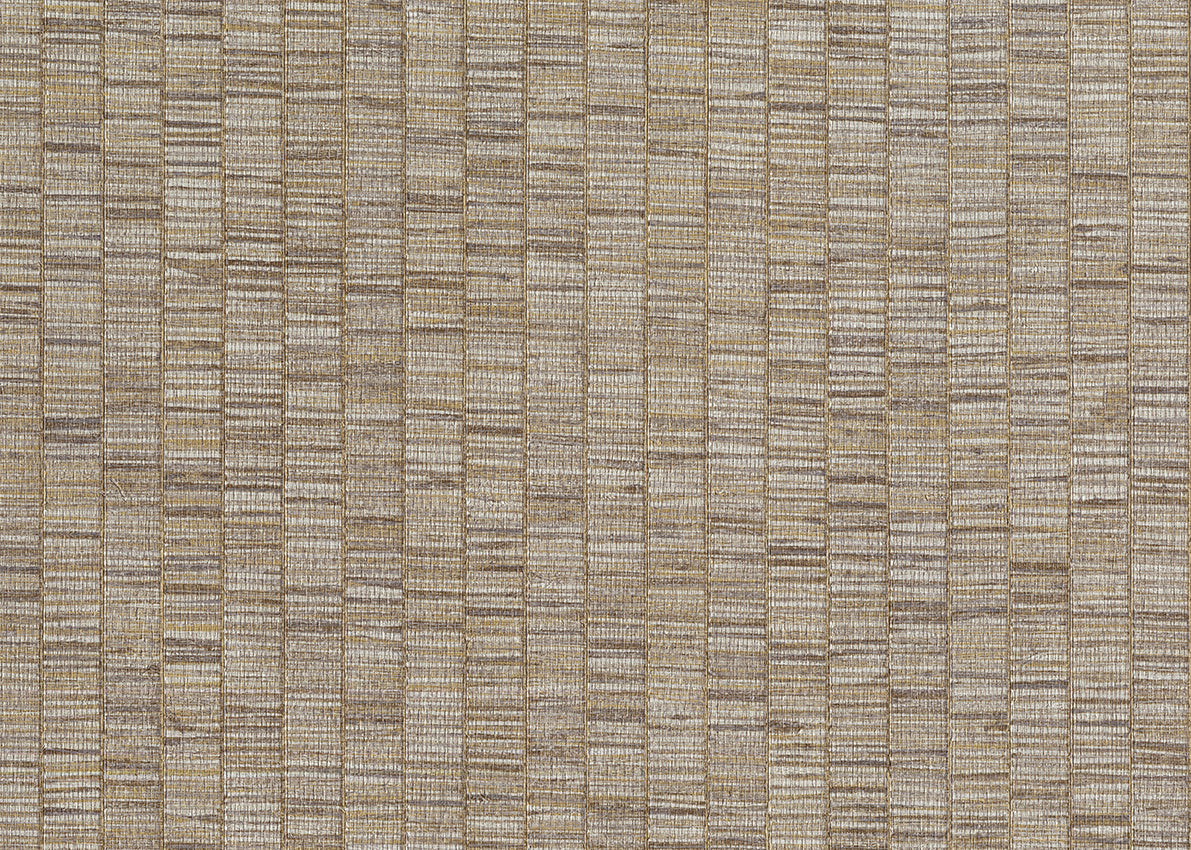 Ribbon Grass 6575