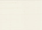 Silk 3202