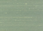 Silk 3205