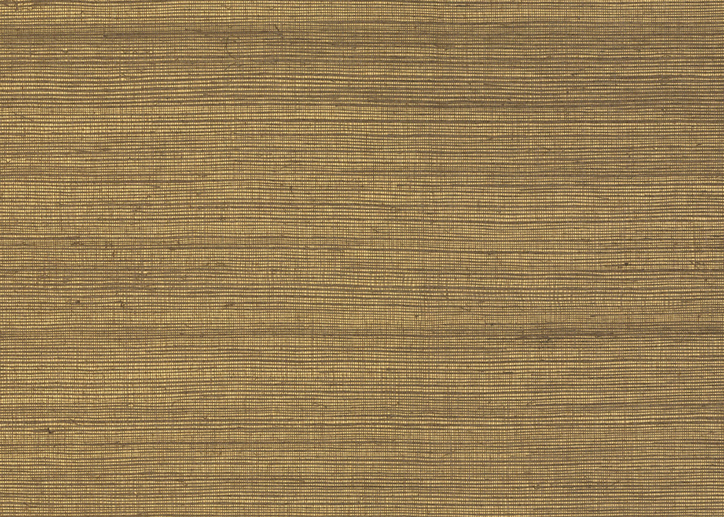 Sisal 3229
