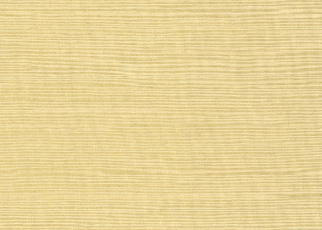 Sisal 3238