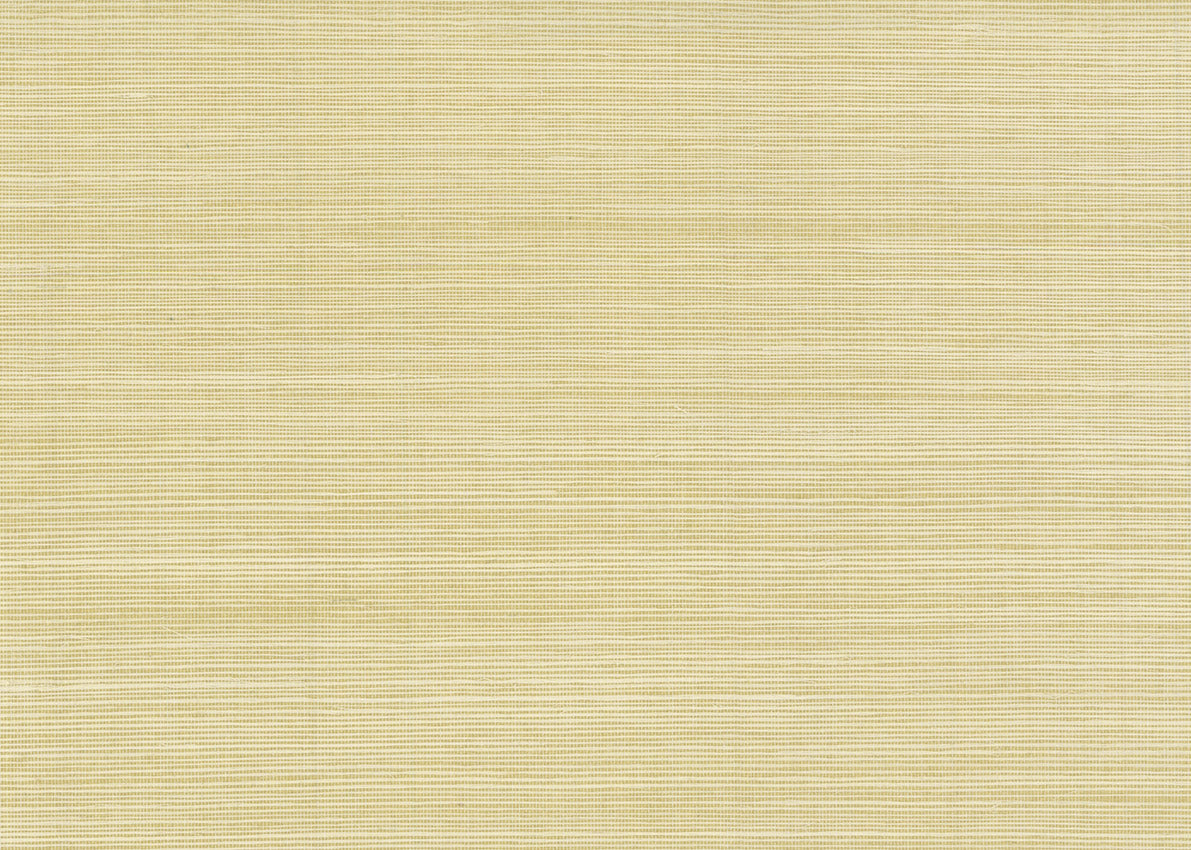 Sisal 3256
