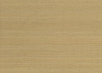 Soie Tropical 6851