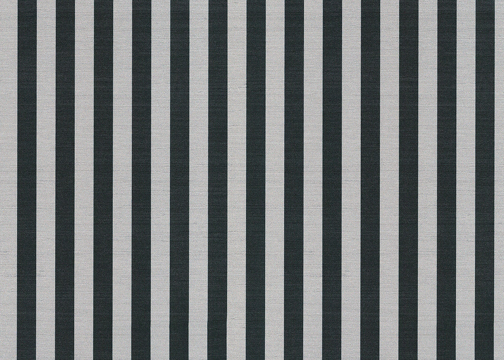 Stria 7751
