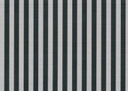 Stria 7751