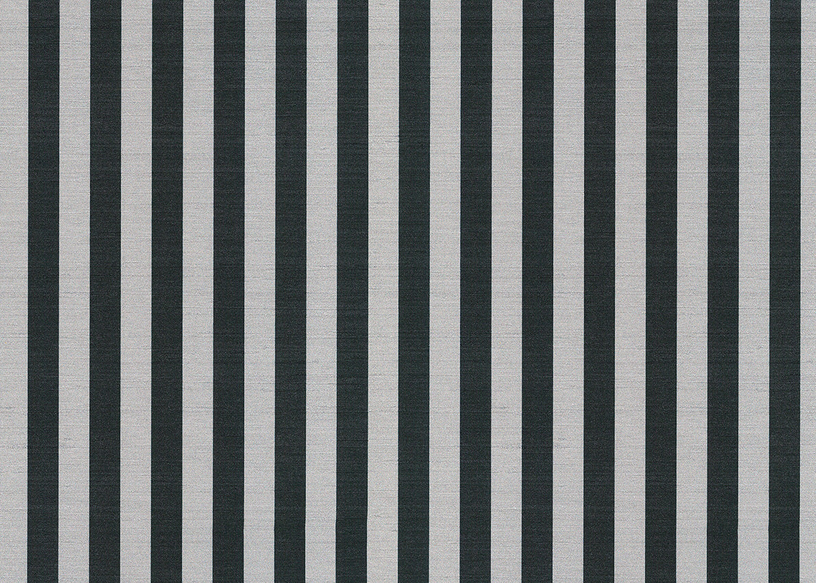 Stria 7751