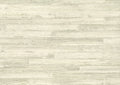Takenoha 50639