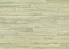 Takenoha 50641