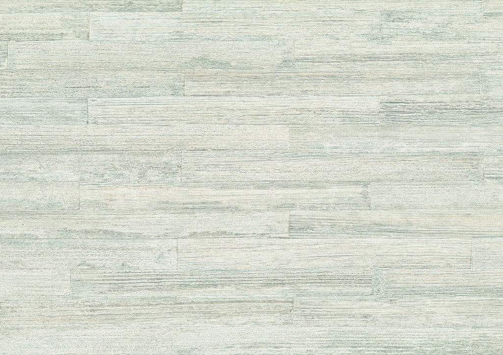 Takenoha 50642